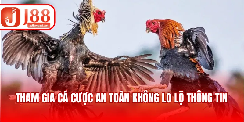 Tham gia cá cược an toàn không lo lộ thông tin