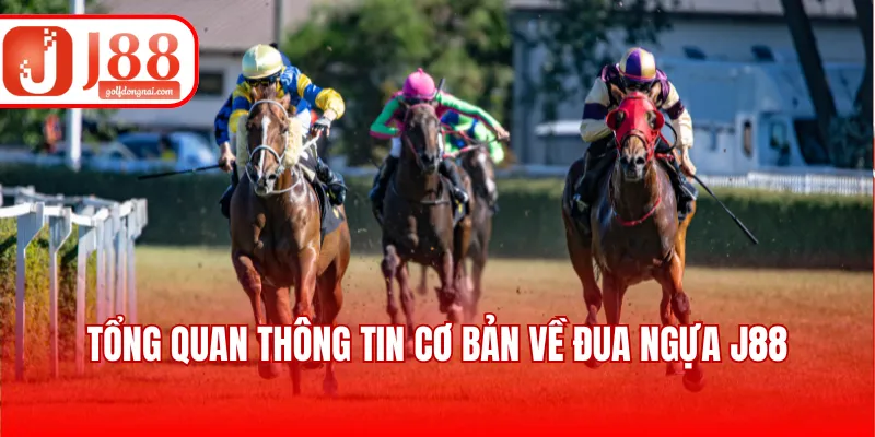 Tổng quan thông tin cơ bản về đua ngựa J88